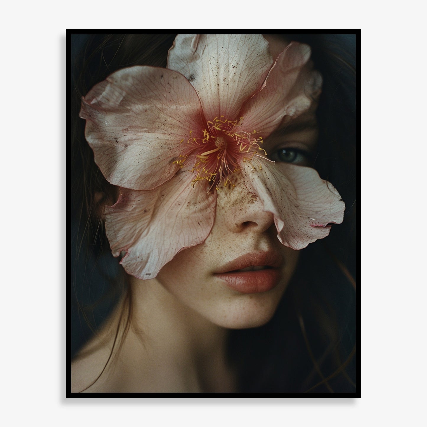 Bloom - Limited Edition