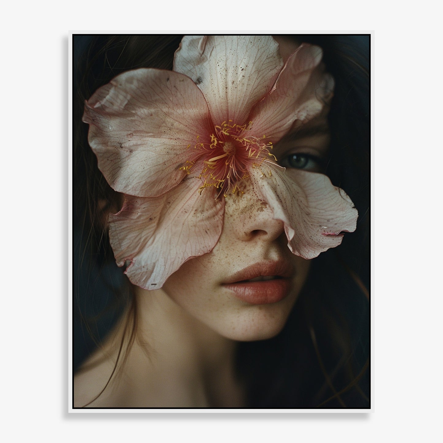 Bloom - Limited Edition