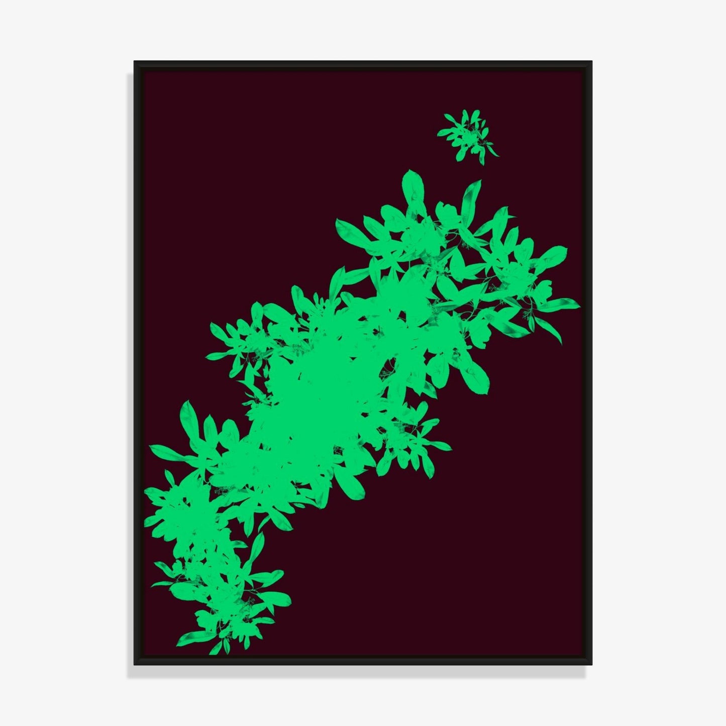 Foliage 10 - Fine Art Print