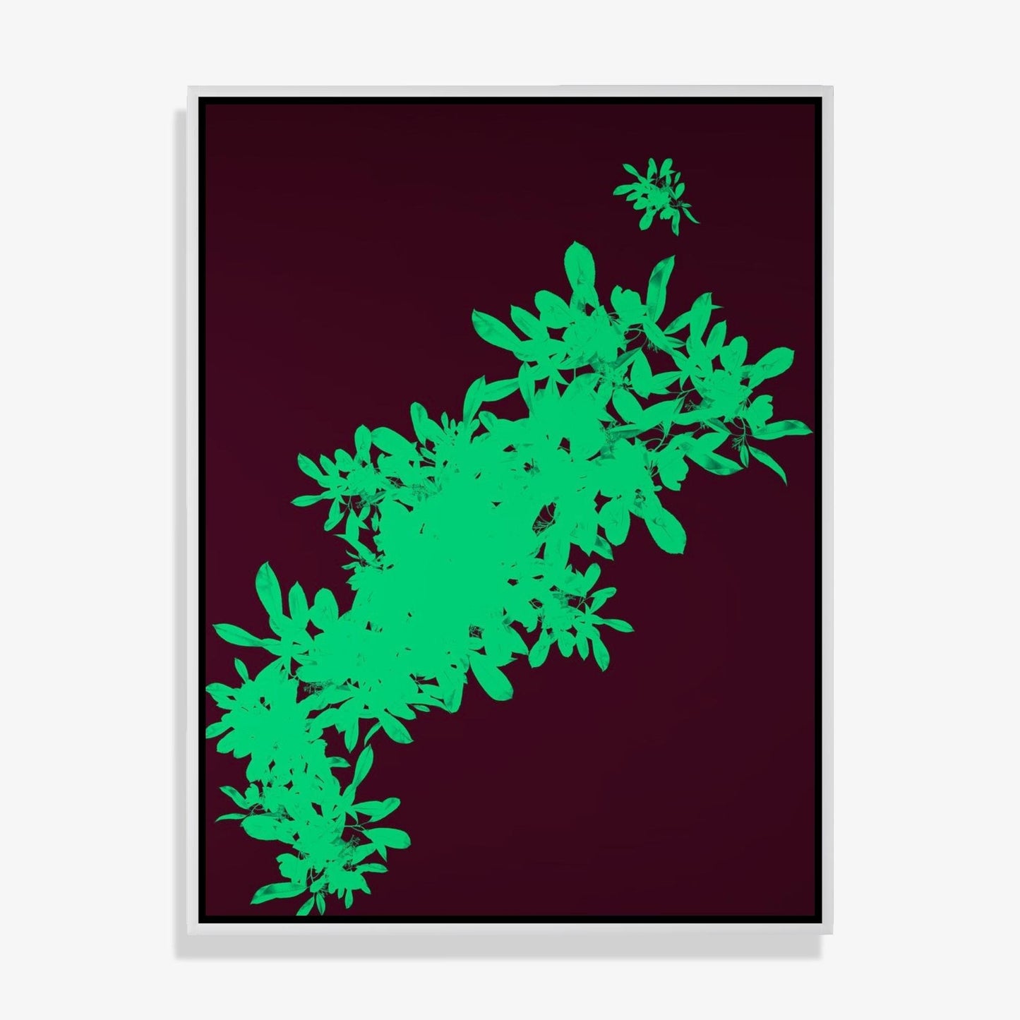 Foliage 10 - Fine Art Print