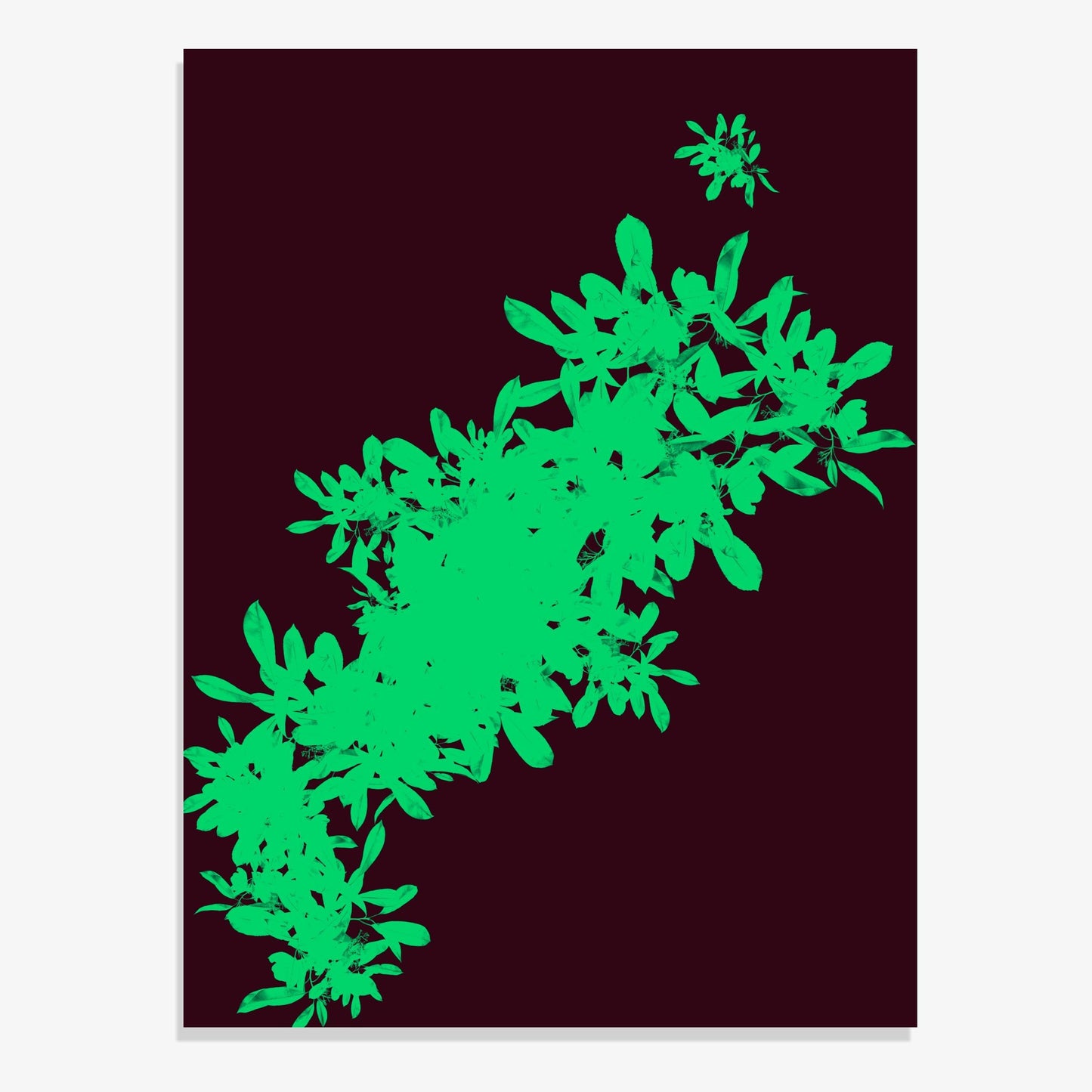 Foliage 10 - Fine Art Print