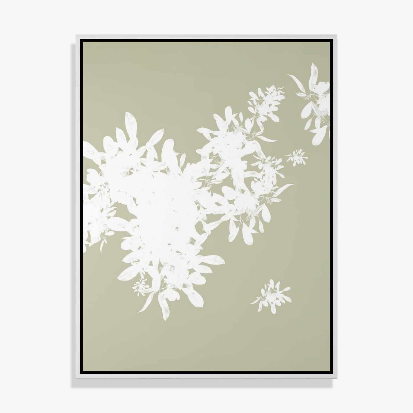 Foliage 11 - Fine Art Print