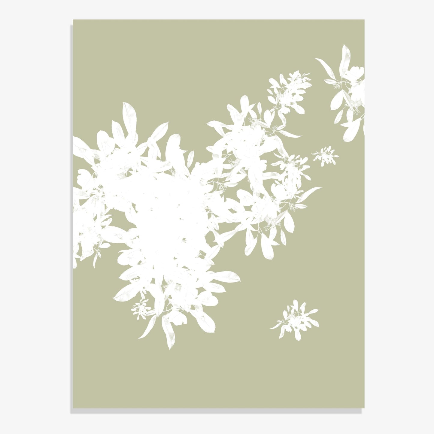 Foliage 11 - Fine Art Print