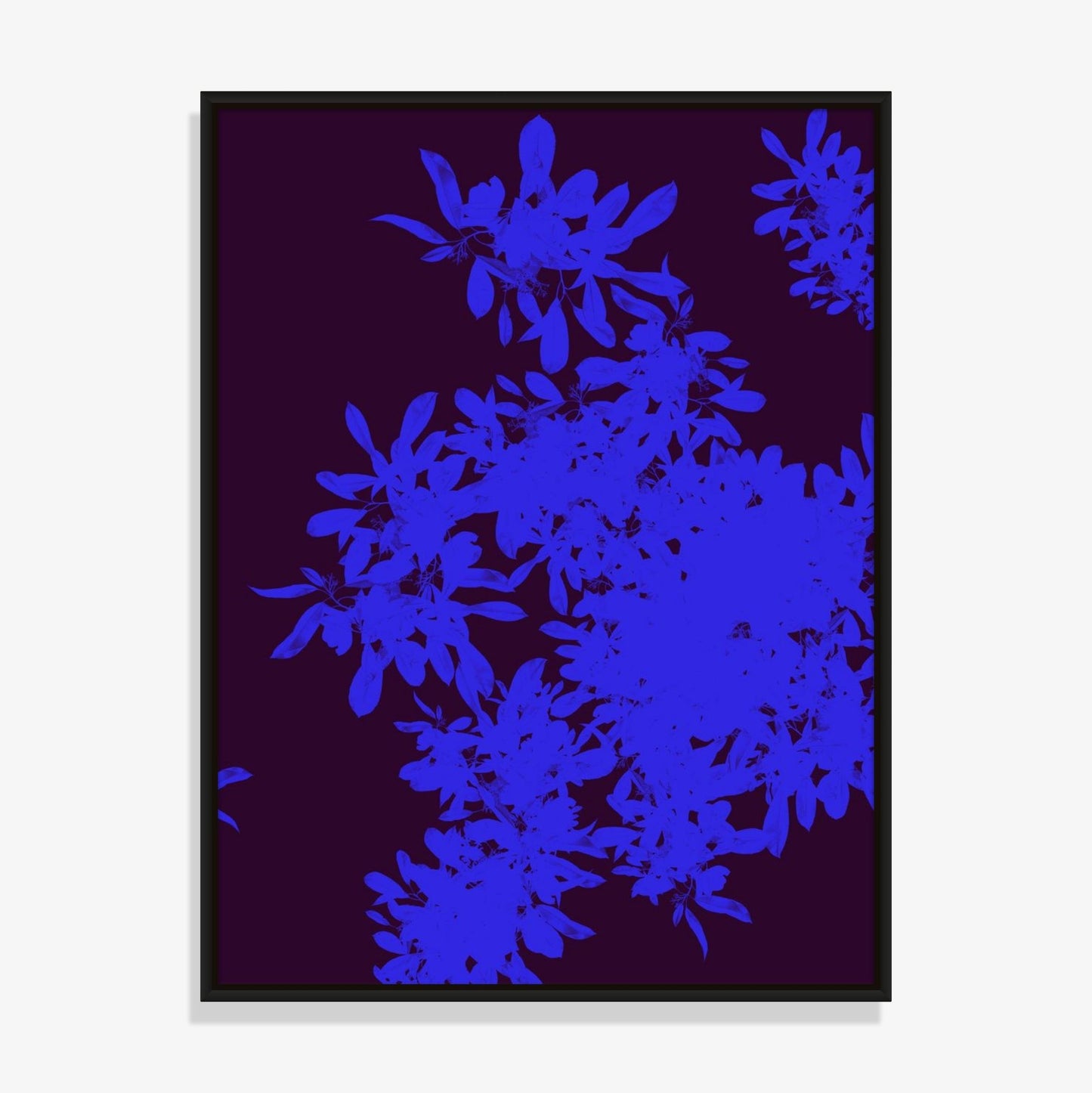 Foliage 13 - Fine Art Print