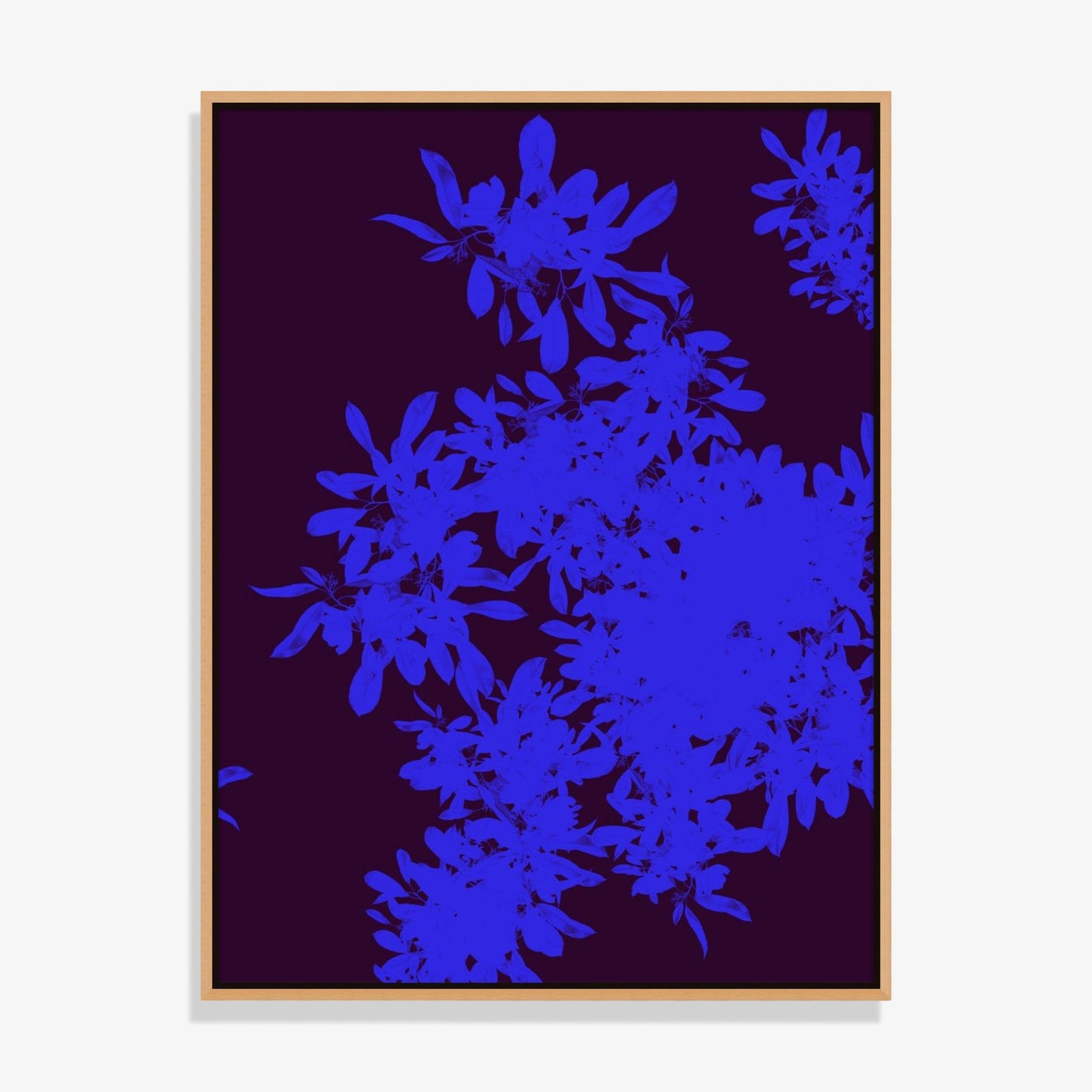 Foliage 13 - Fine Art Print