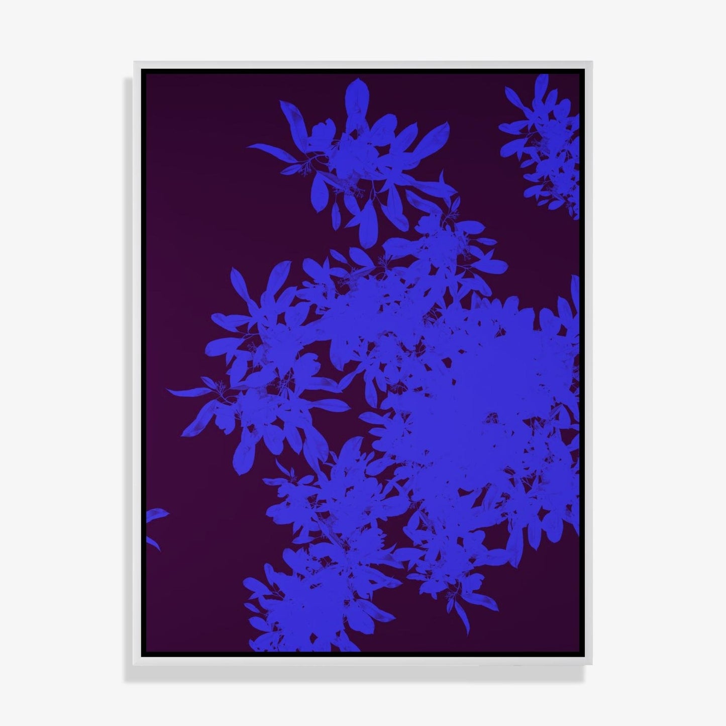 Foliage 13 - Fine Art Print