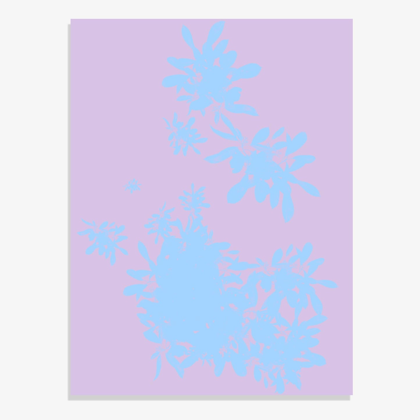 Foliage 14 - Fine Art Print