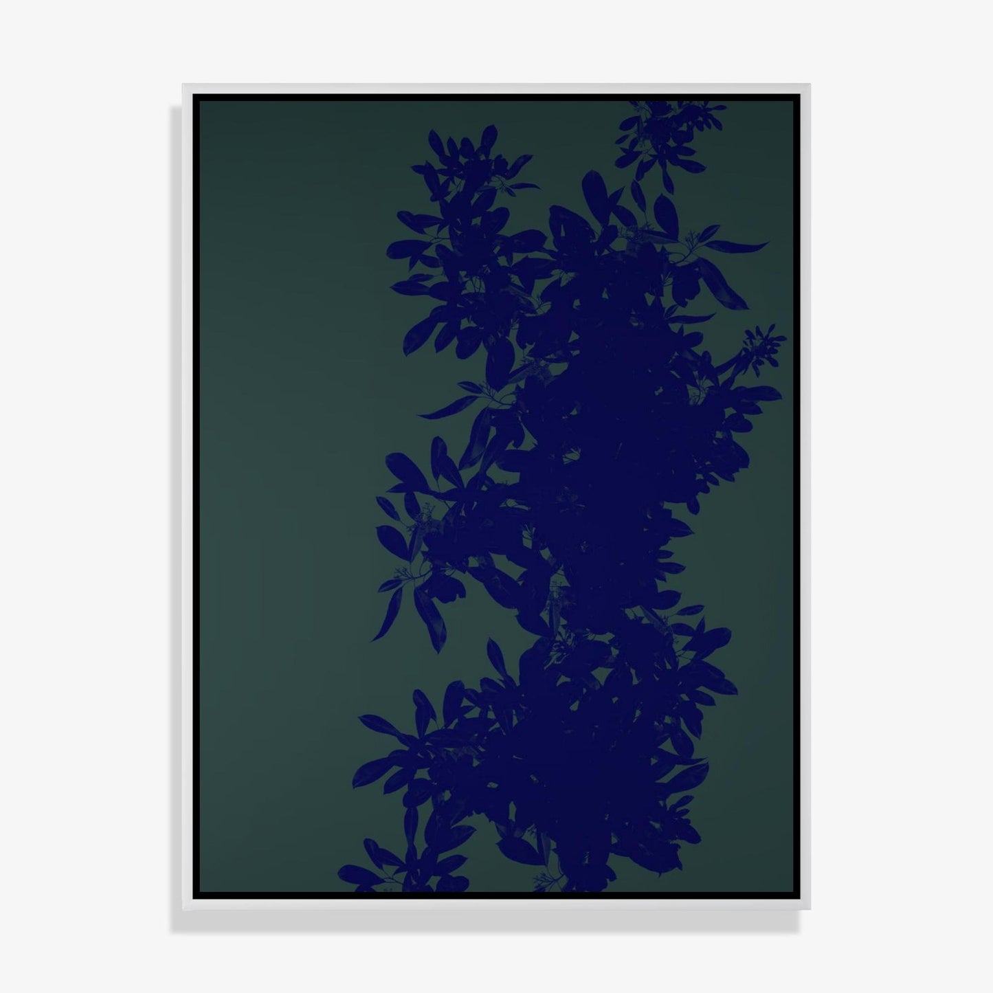 Foliage 1 - Fine Art Print