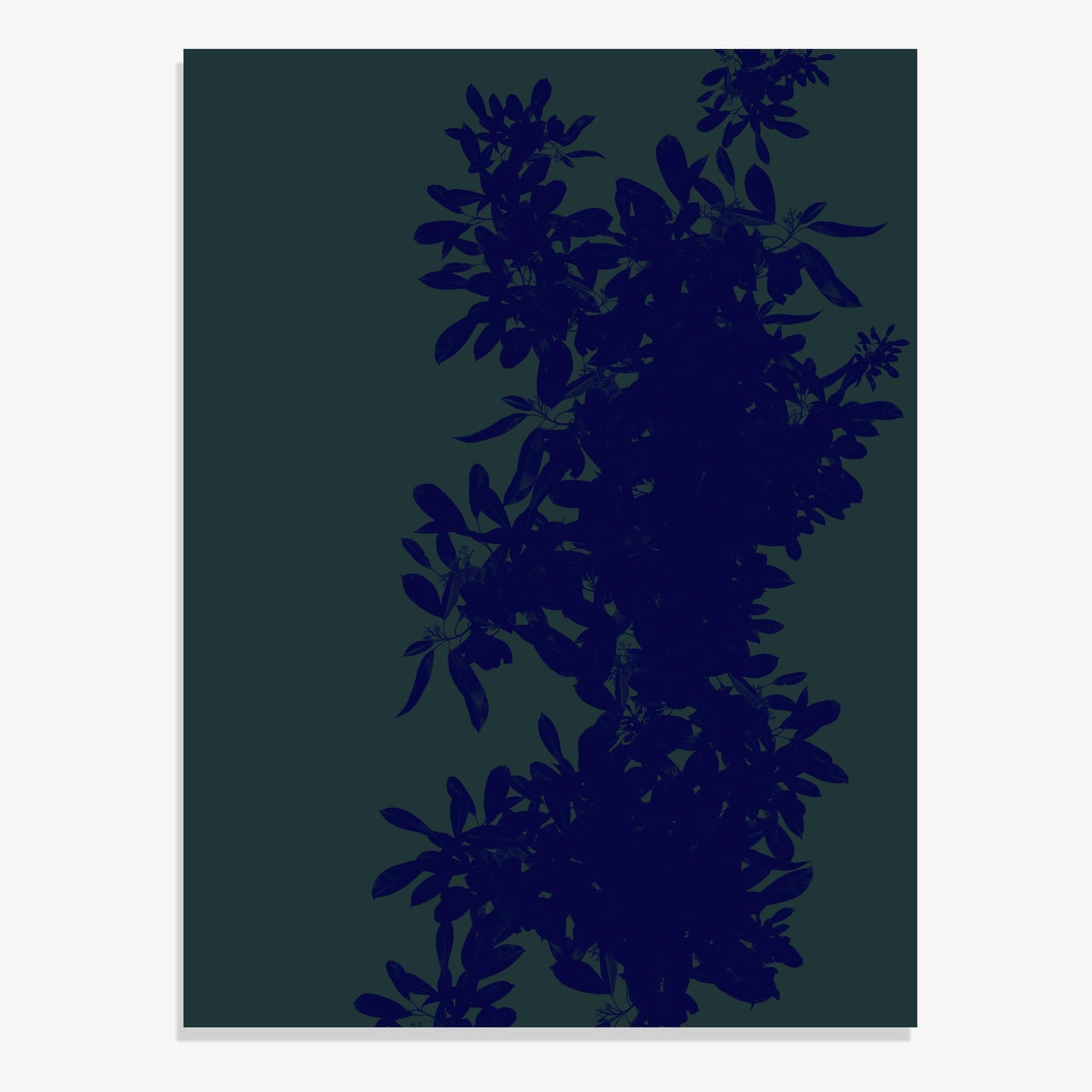 Foliage 1 - Fine Art Print