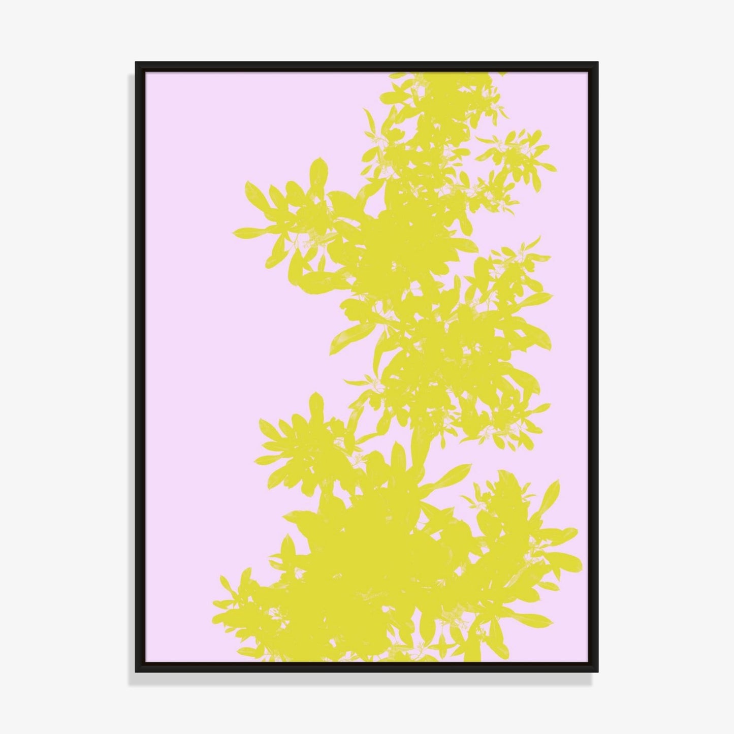 Foliage 2 - Fine Art Print