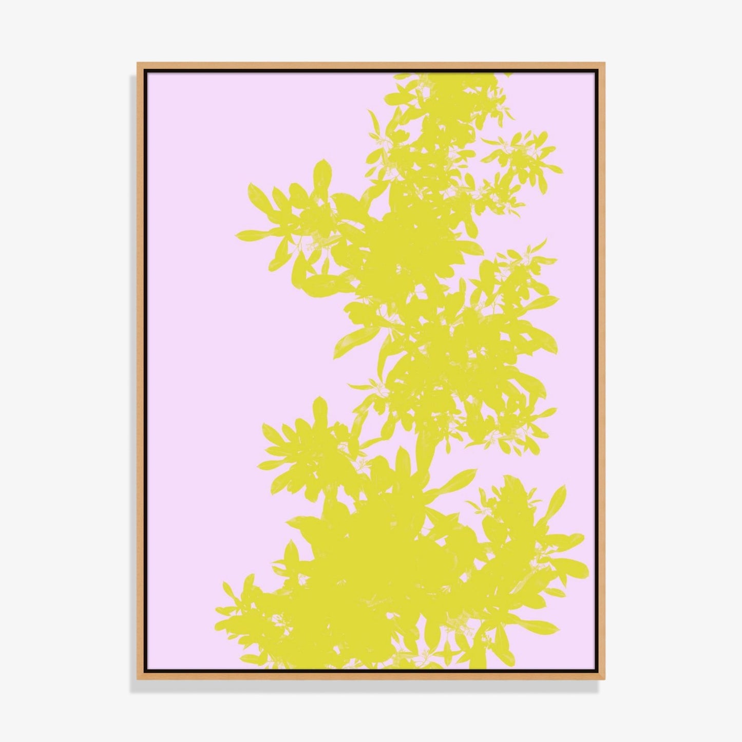 Foliage 2 - Fine Art Print