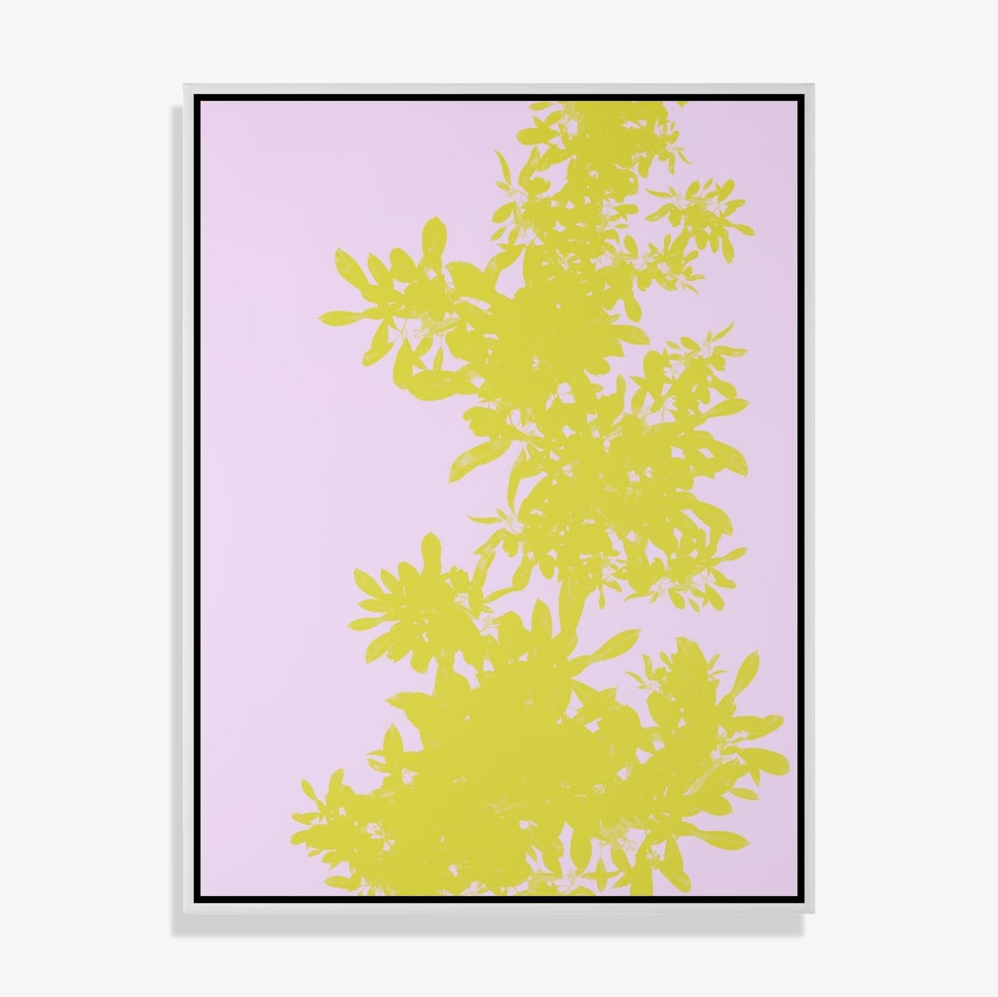 Foliage 2 - Fine Art Print