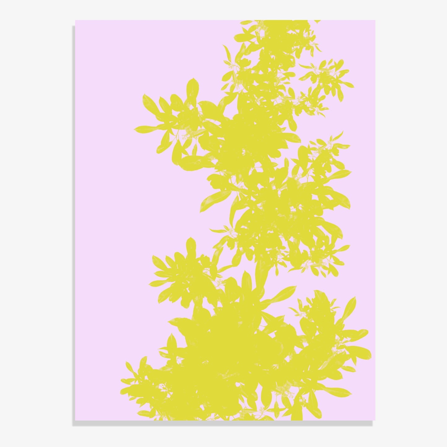 Foliage 2 - Fine Art Print