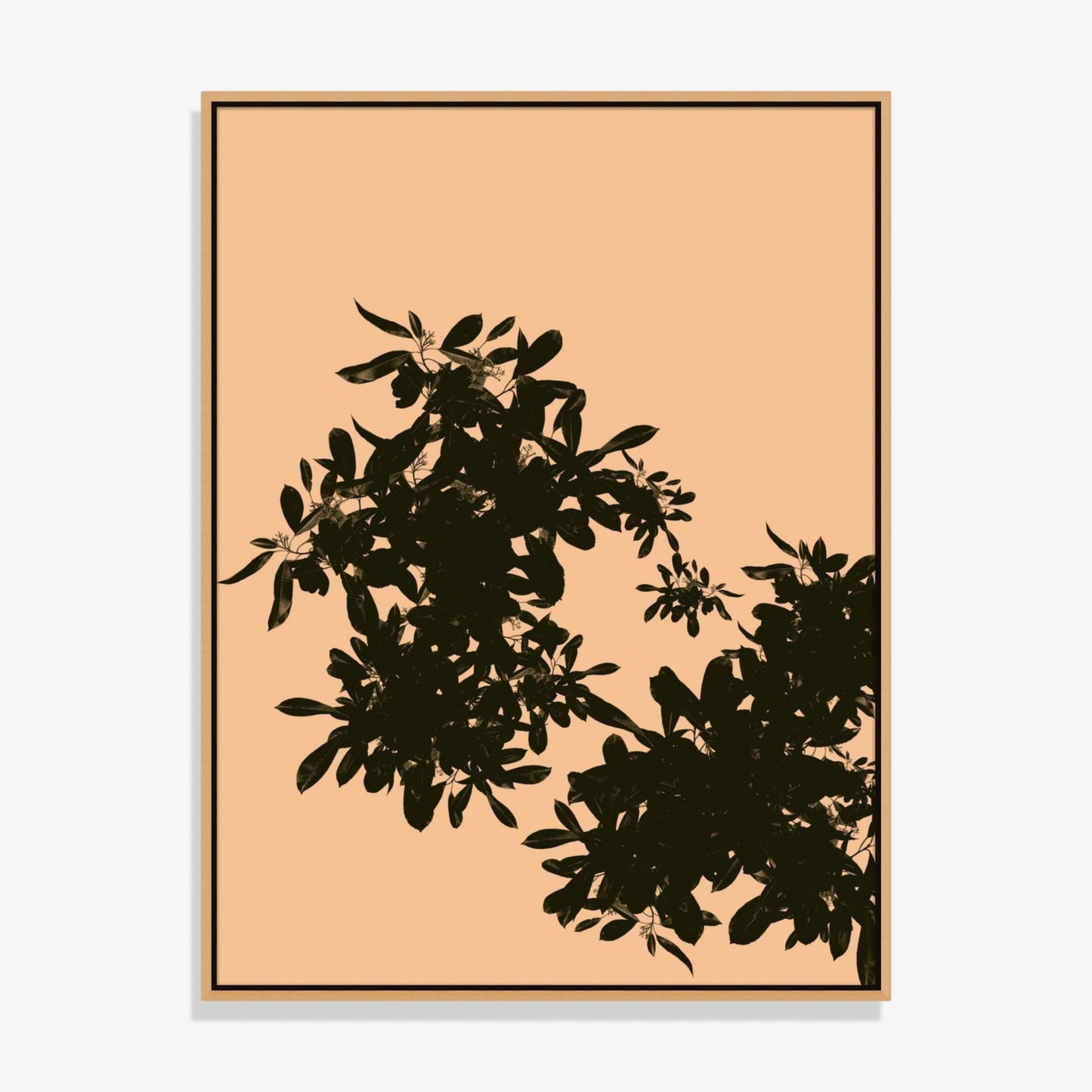 Foliage 3 - Fine Art Print