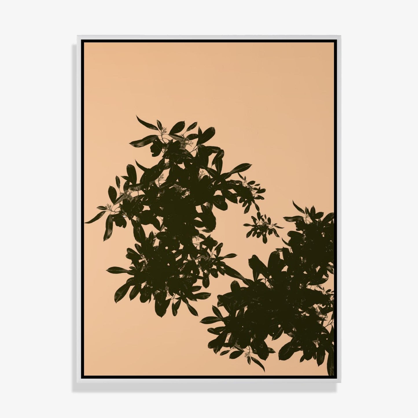 Foliage 3 - Fine Art Print