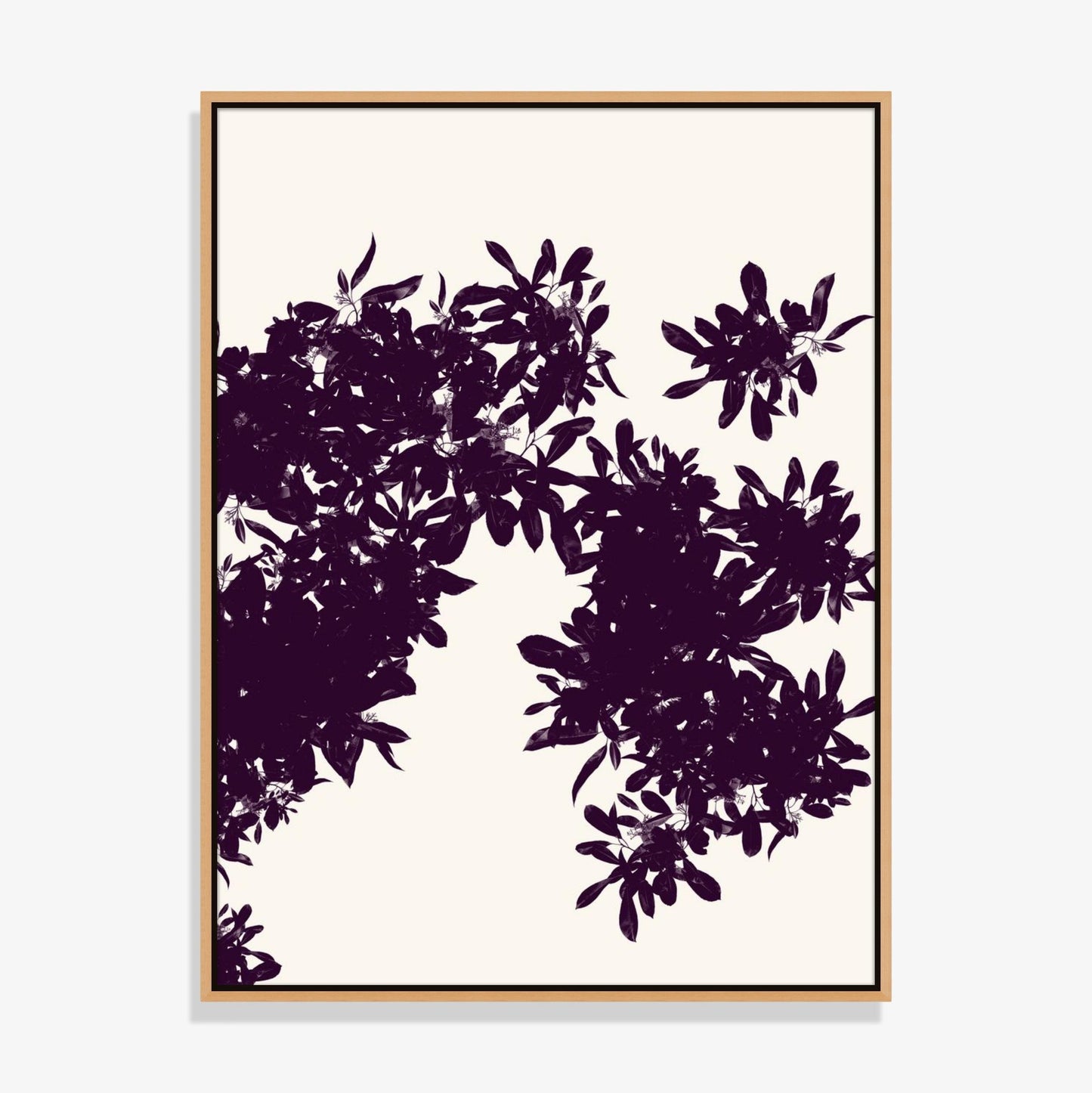 Foliage 4 - Fine Art Print