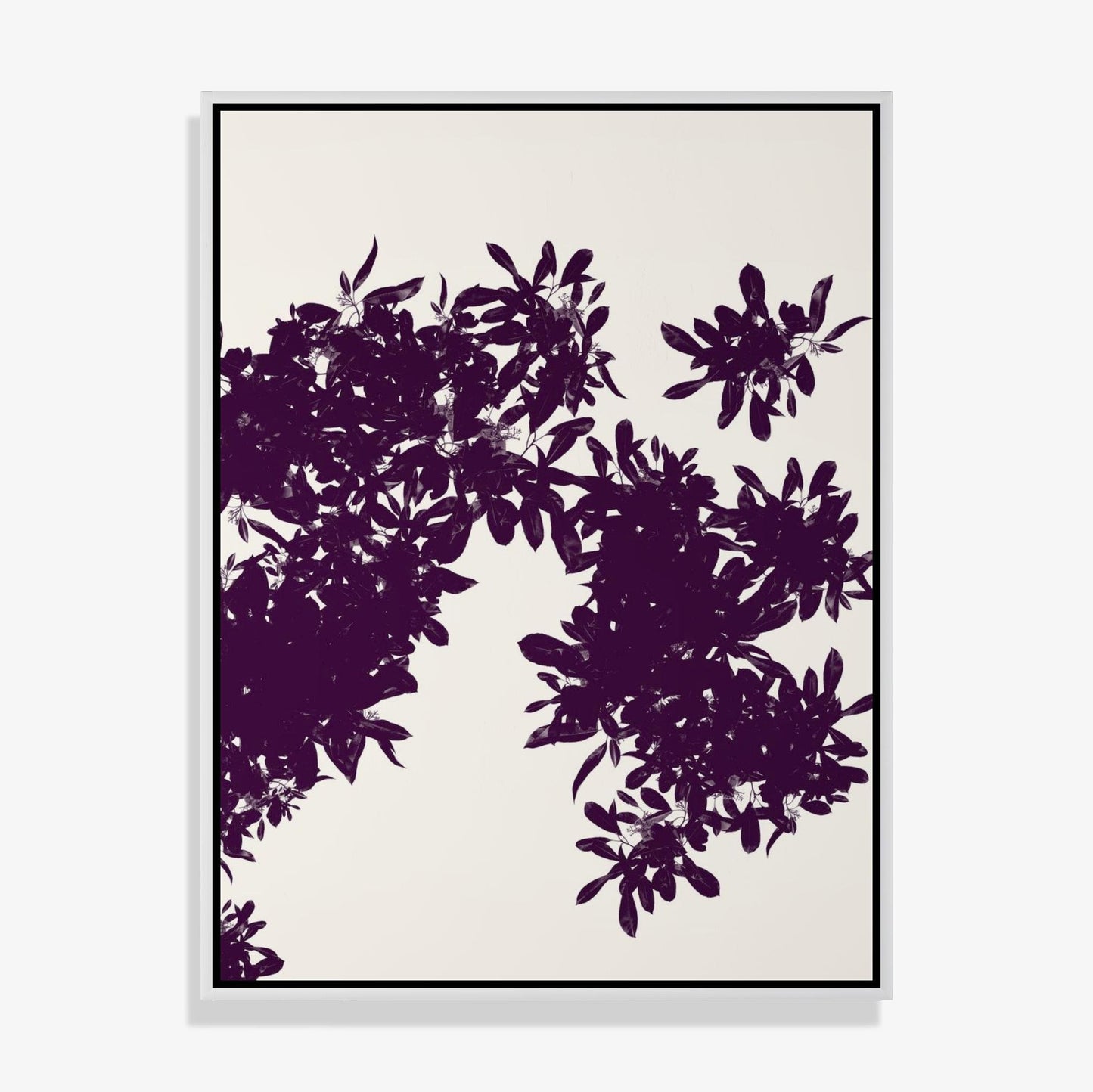Foliage 4 - Fine Art Print
