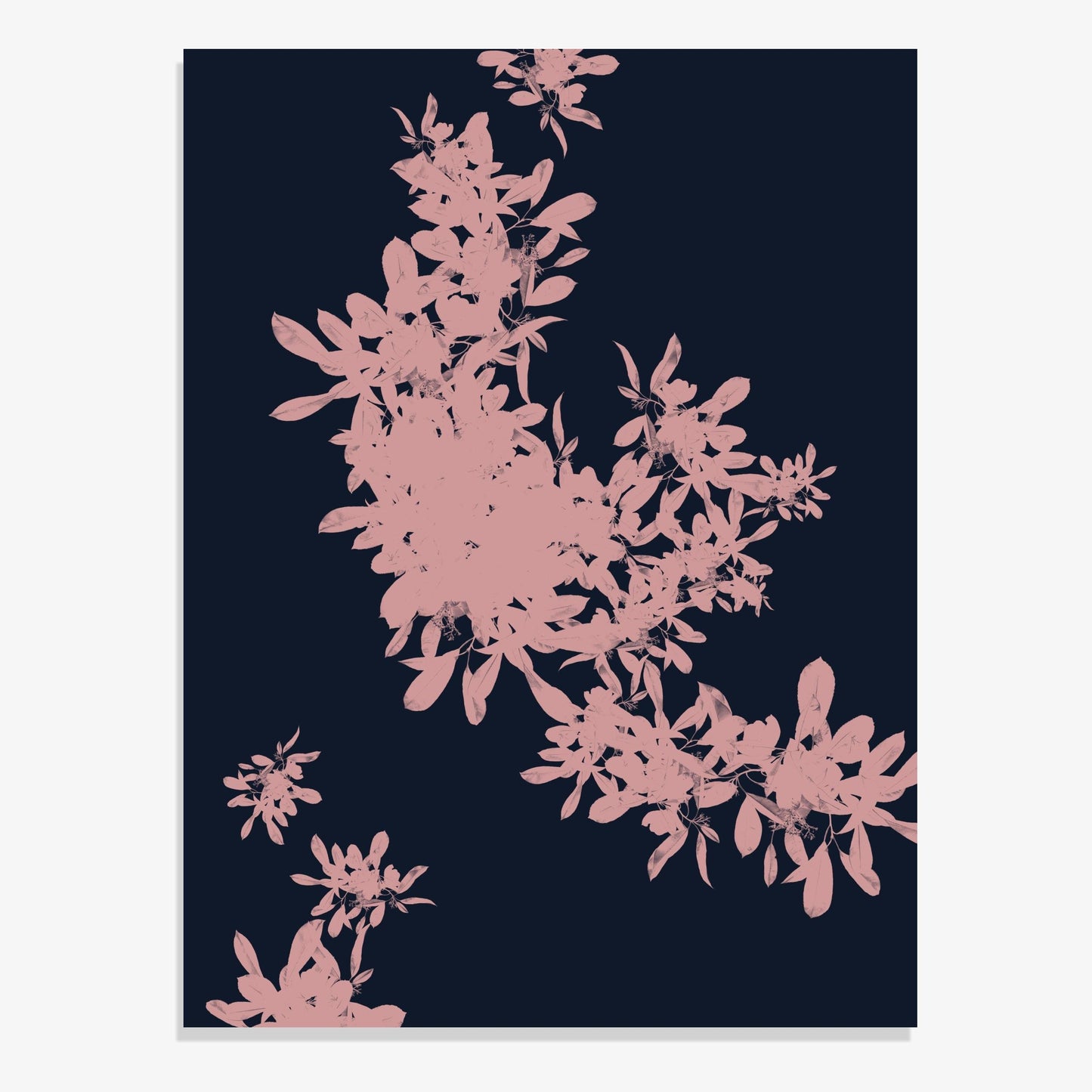 Foliage 5 - Fine Art Print