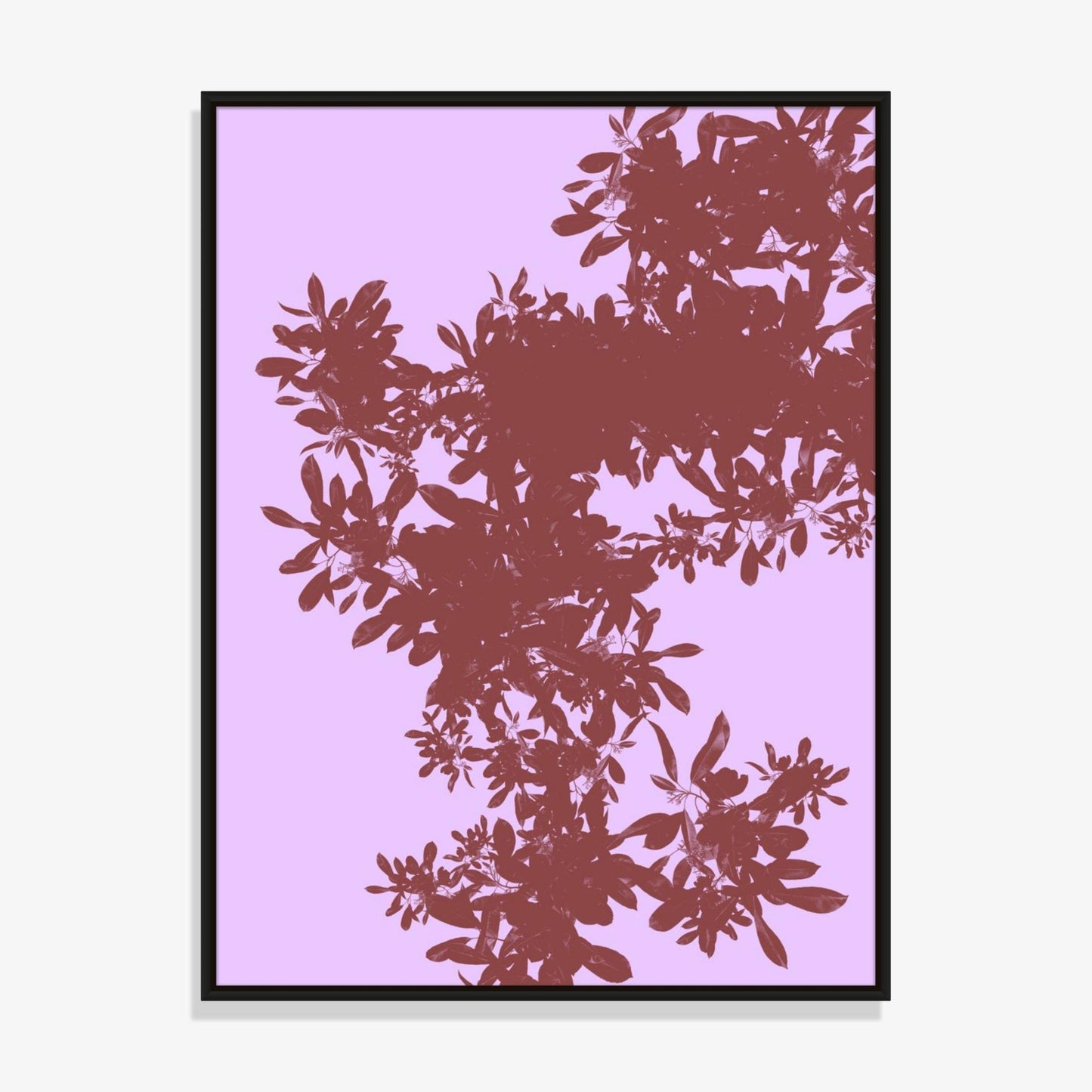 Foliage 6 - Fine Art Print