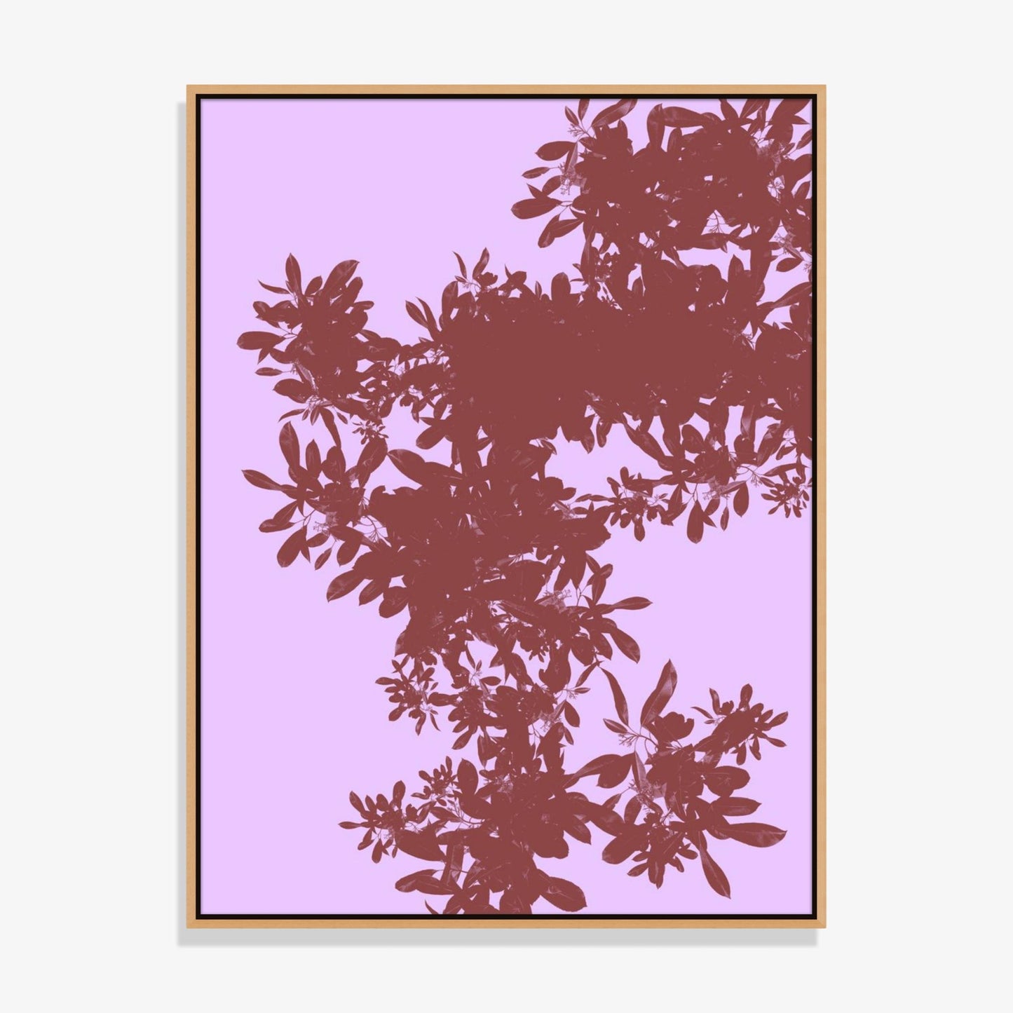 Foliage 6 - Fine Art Print