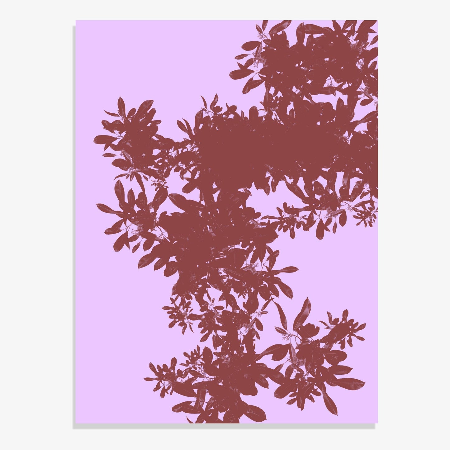 Foliage 6 - Fine Art Print