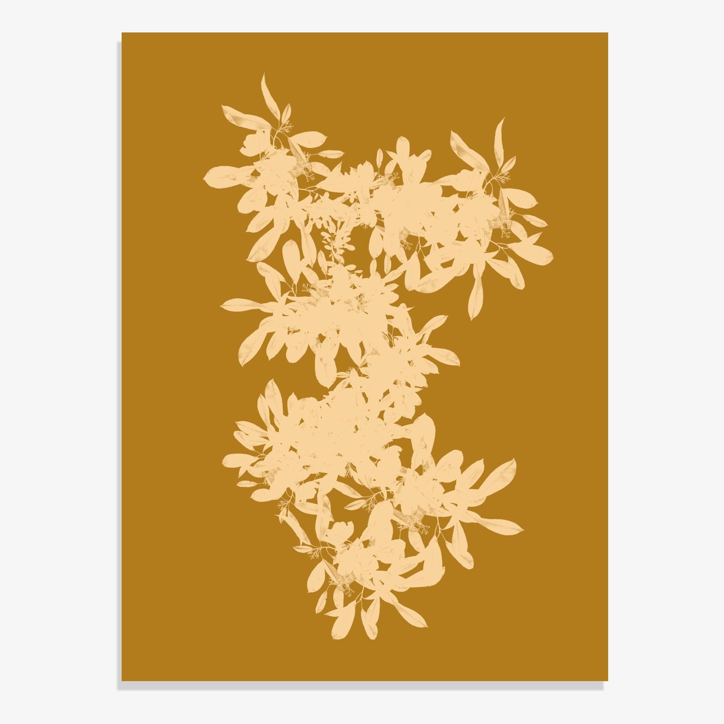 Foliage 7 - Fine Art Print
