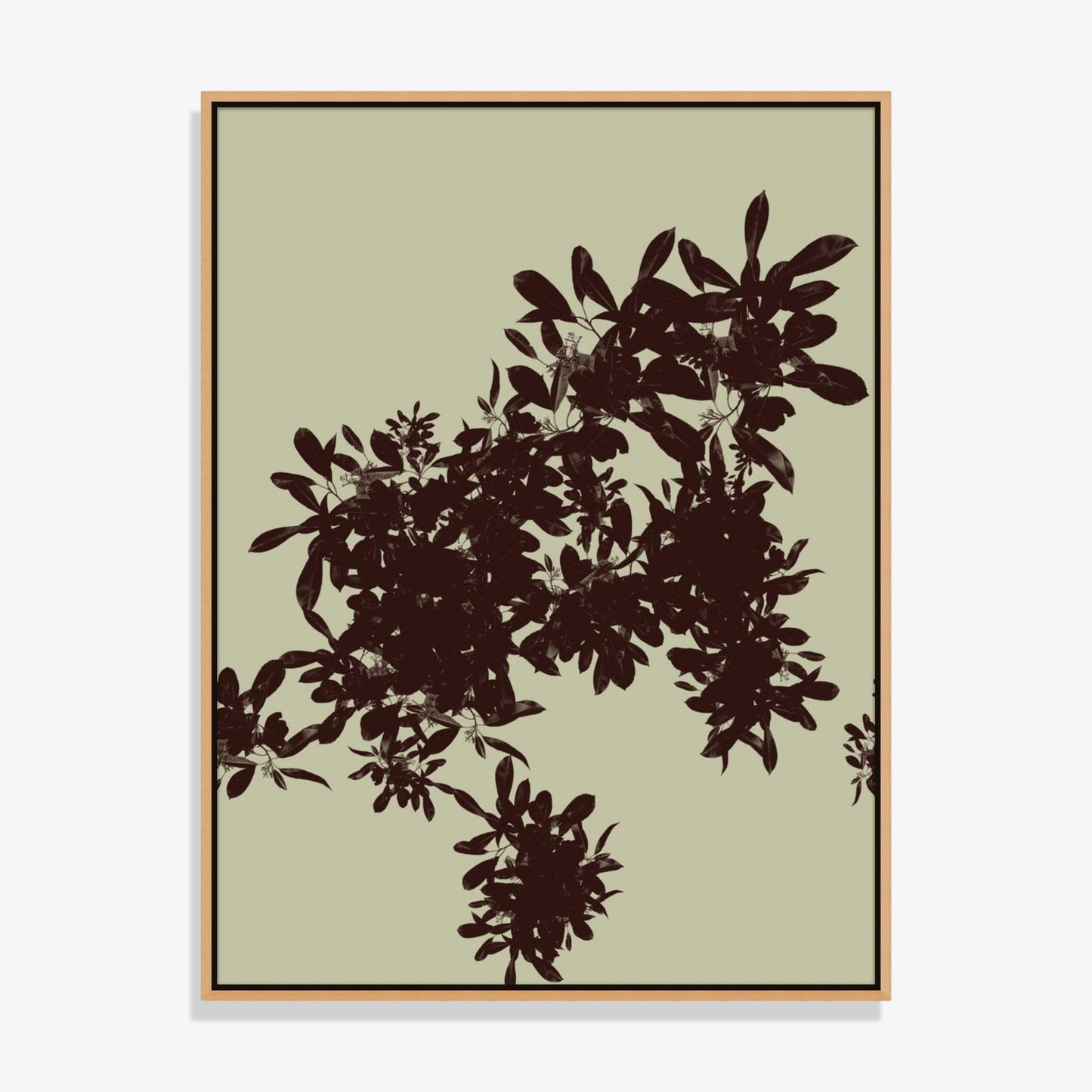Foliage 8 - Fine Art Print