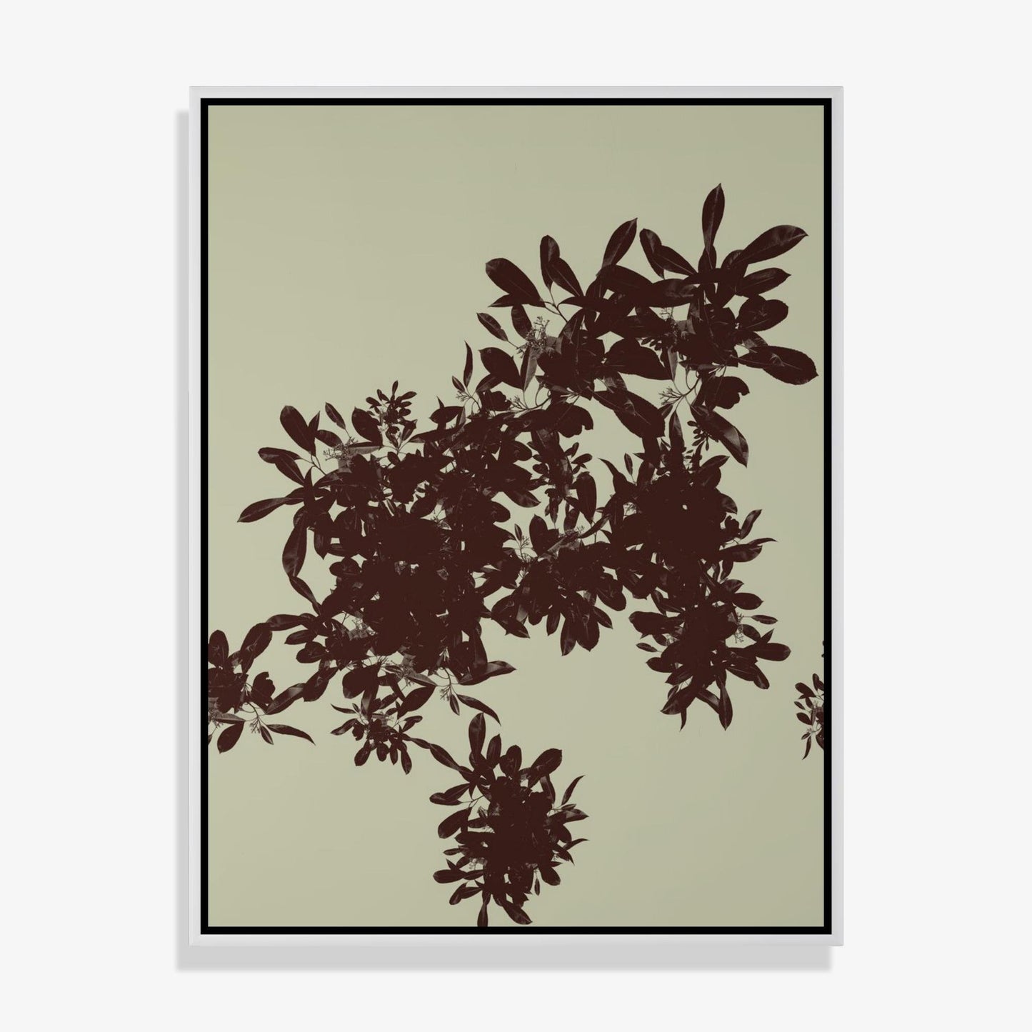 Foliage 8 - Fine Art Print