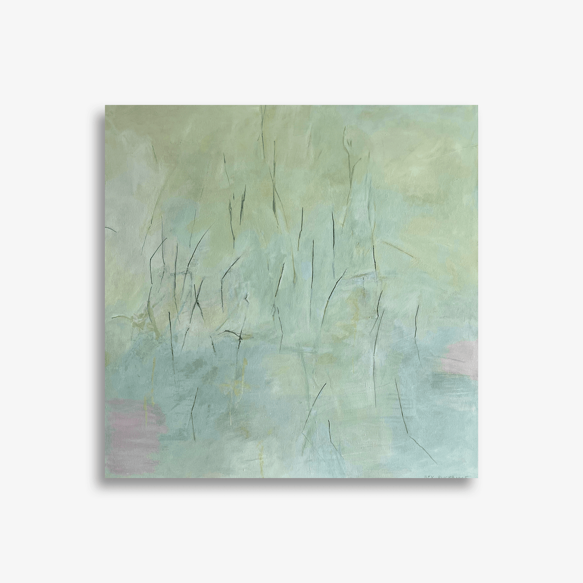 River - Reeds - Reflections