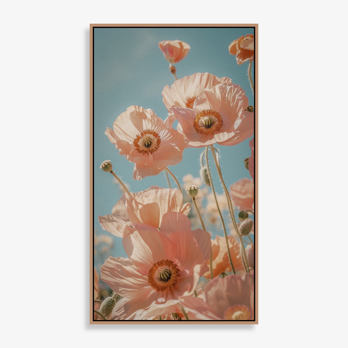 Bloom