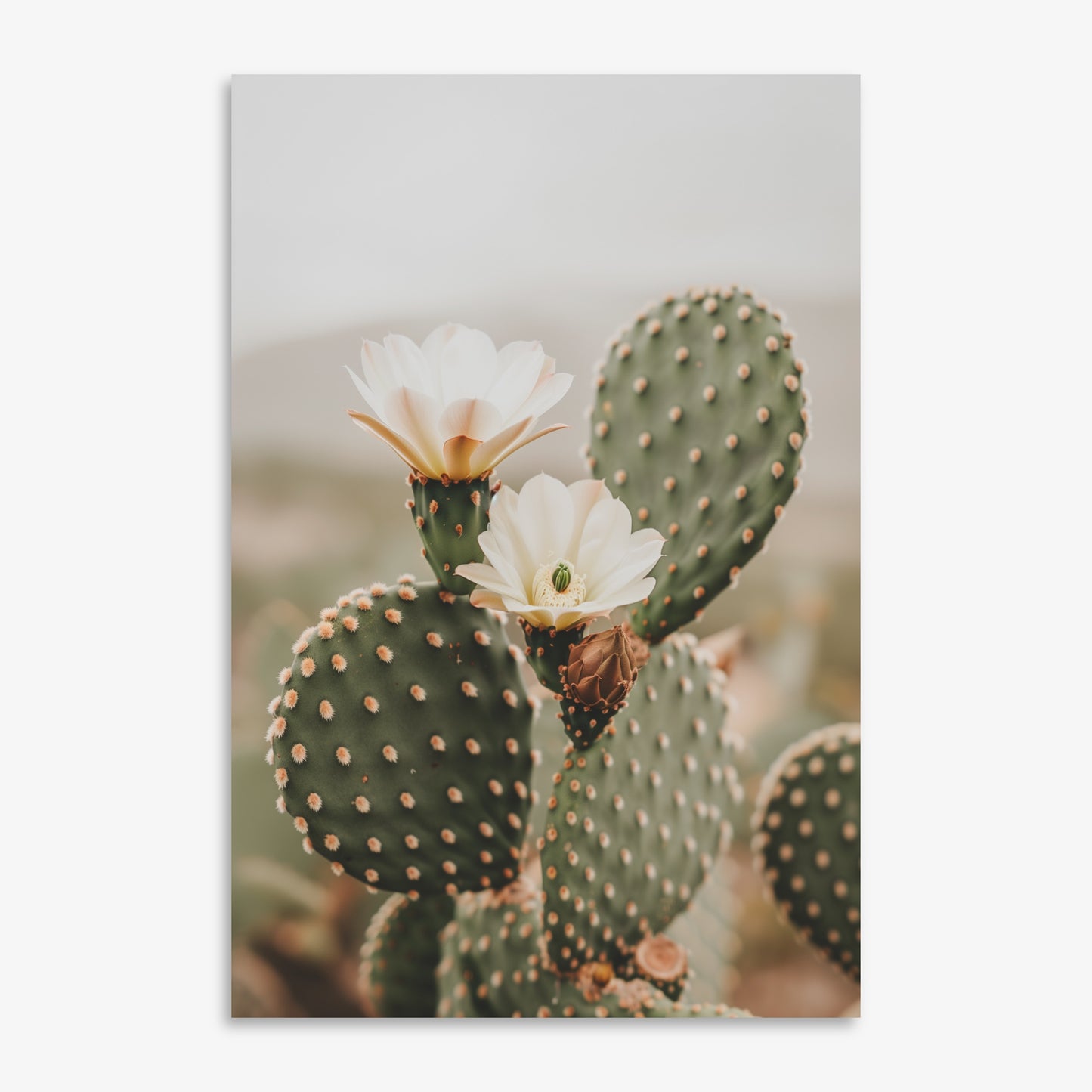 In Bloom