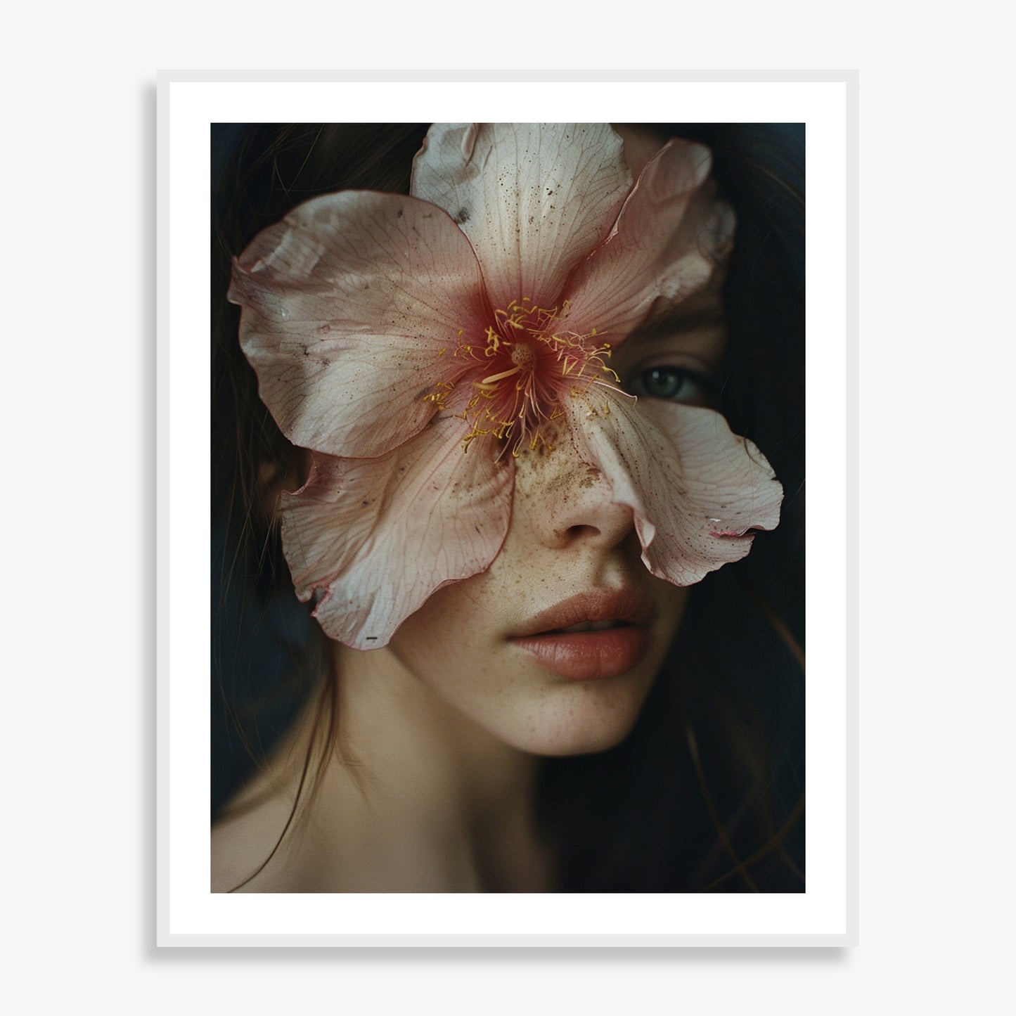 Bloom - Limited Edition
