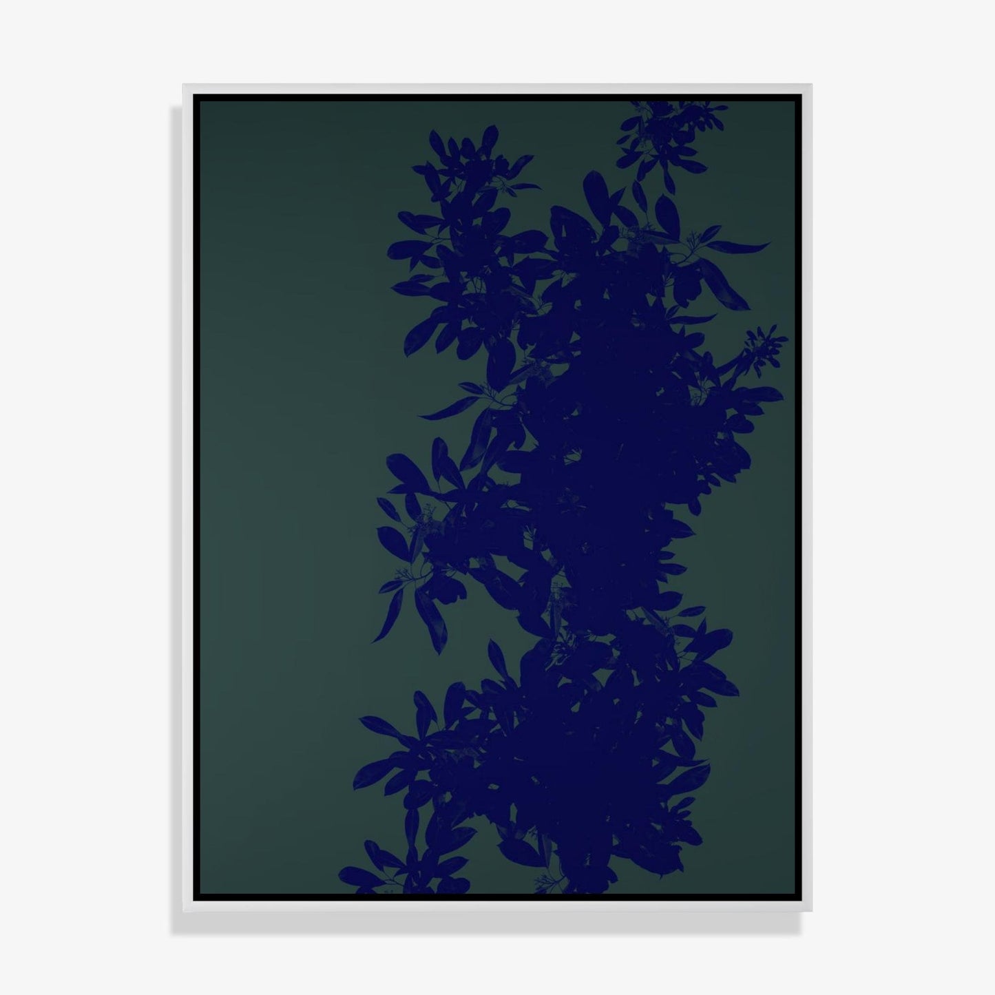 Foliage 1 - Open Edition Print