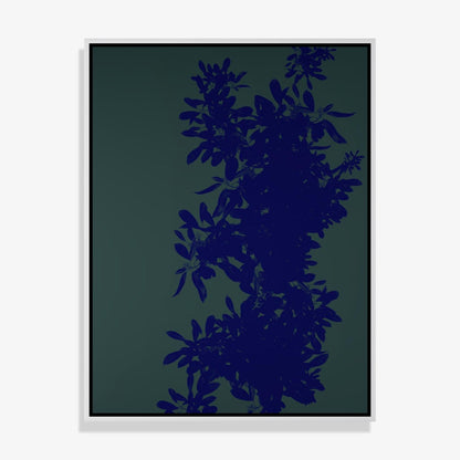 Foliage 1 - Open Edition Print