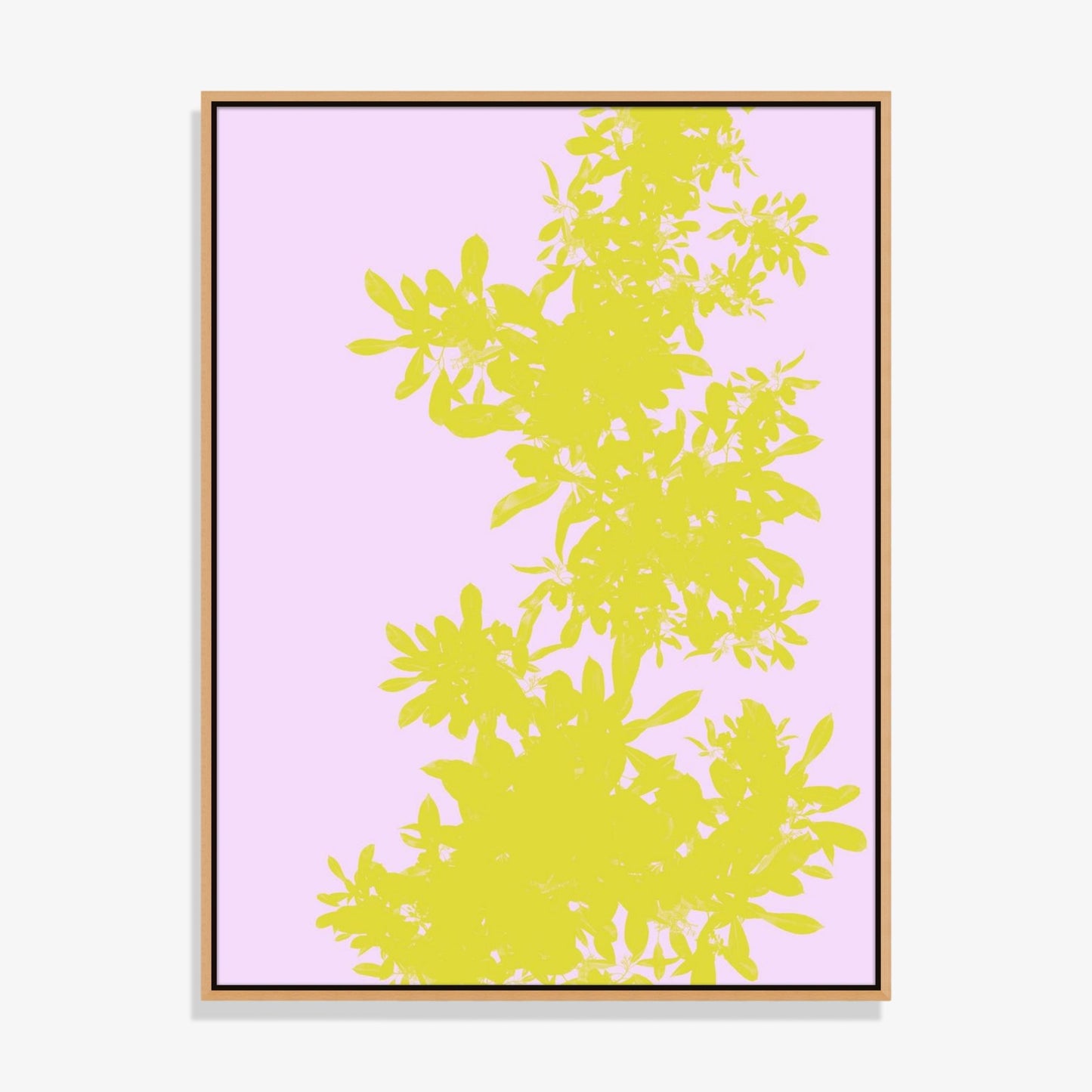 Foliage 2 - Open Edition Print