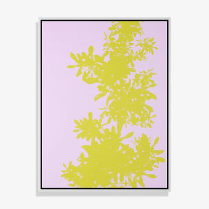 Foliage 2 - Open Edition Print