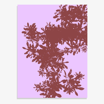 Foliage 6 - Open Edition Print