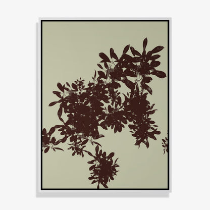 Foliage 8 - Open Edition Print