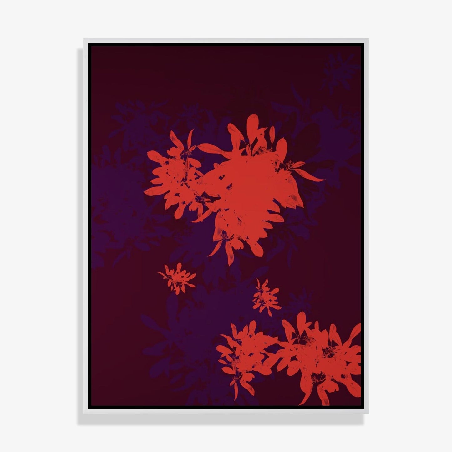 Foliage 9 - Open Edition Print