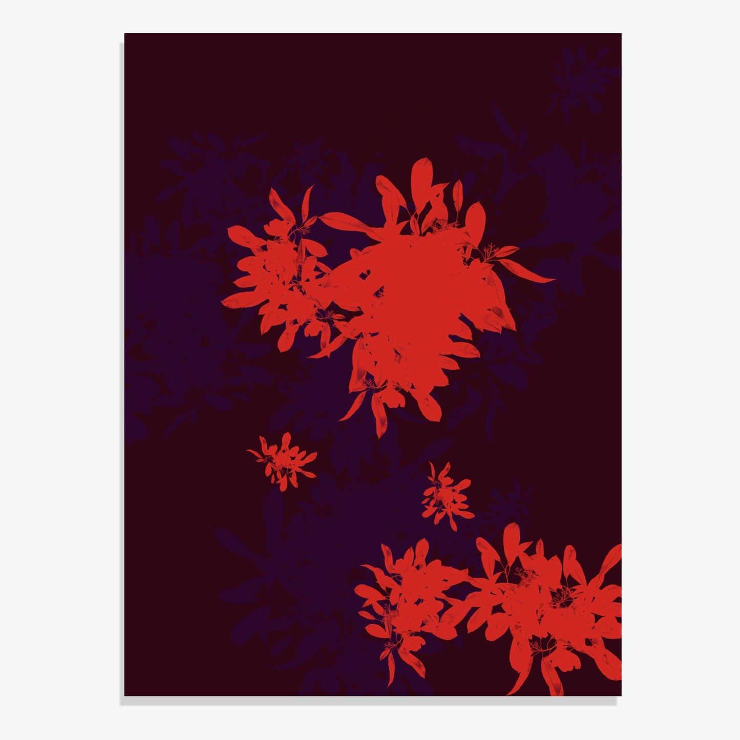 Foliage 9 - Open Edition Print