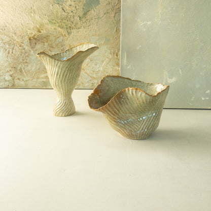 Beginning to flourish