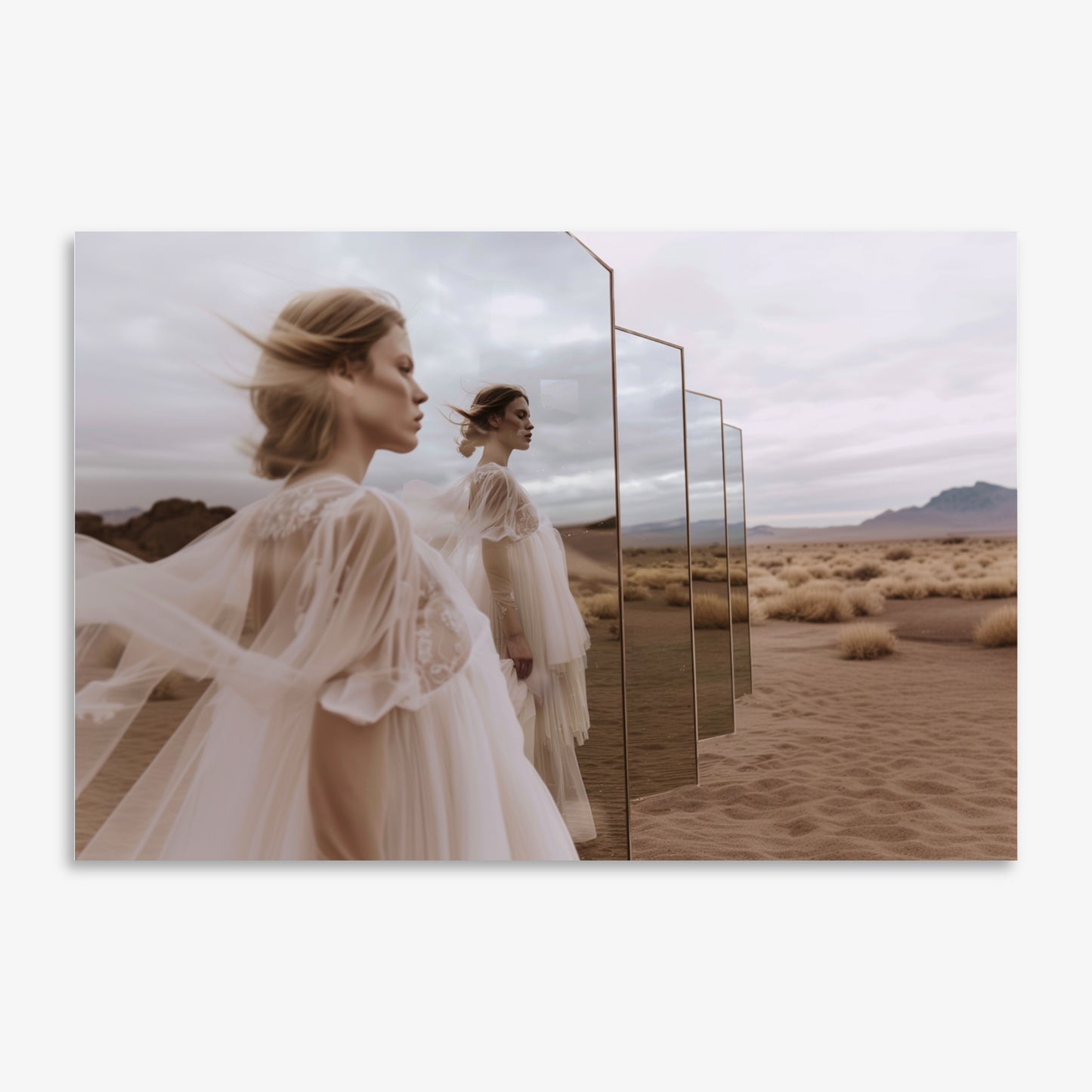 Reflections - Limited Edition