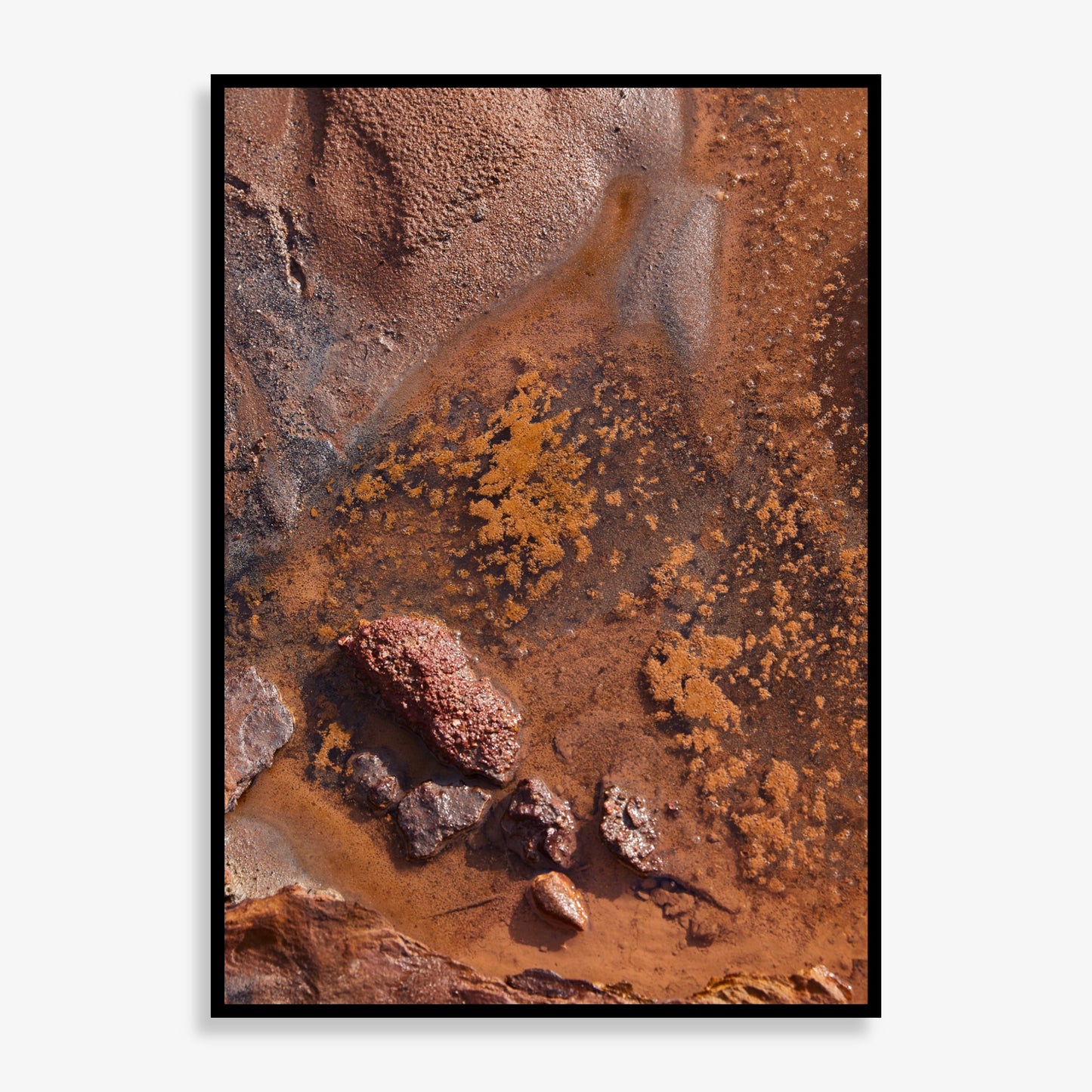 Sacred Earth - Limited Edition