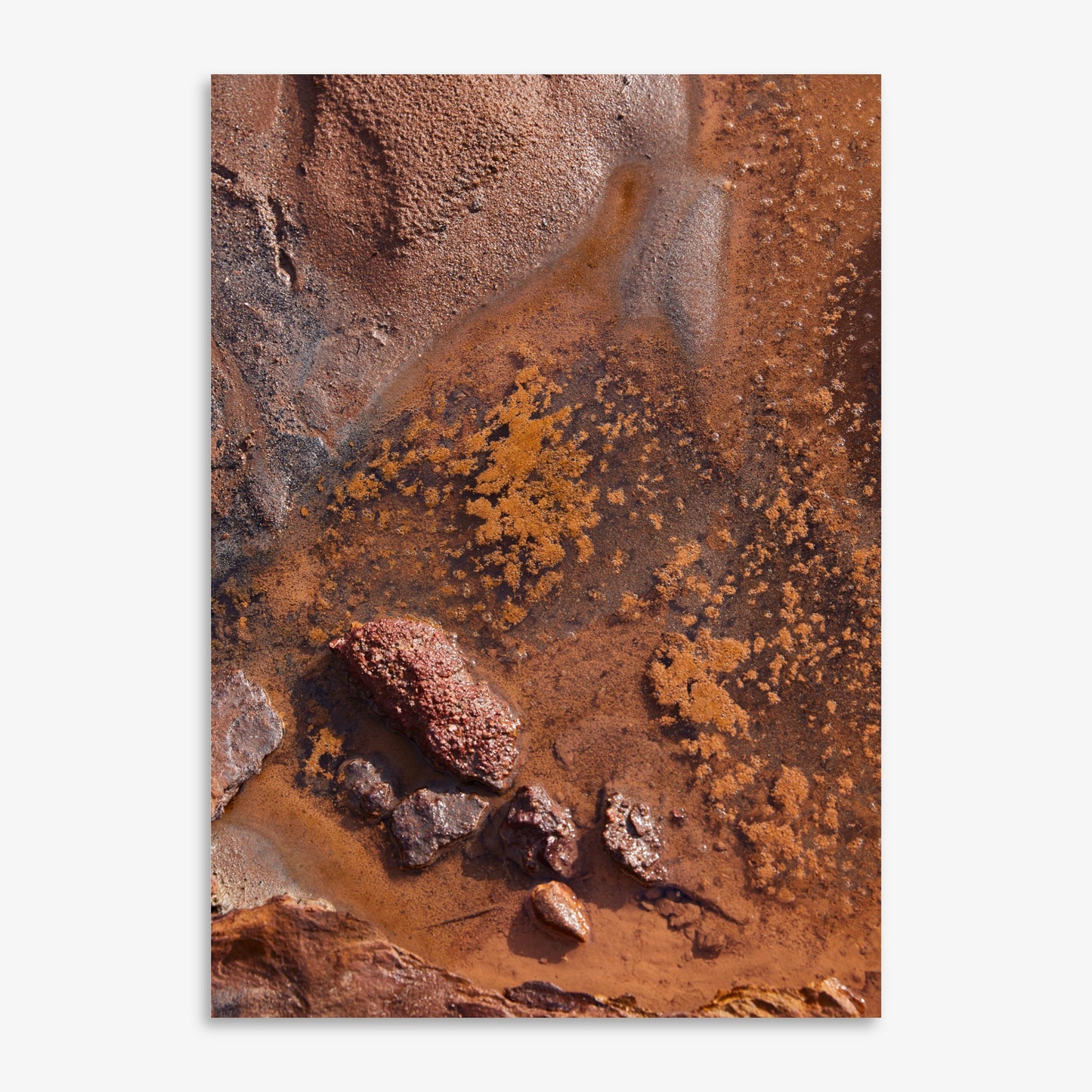 Sacred Earth - Limited Edition
