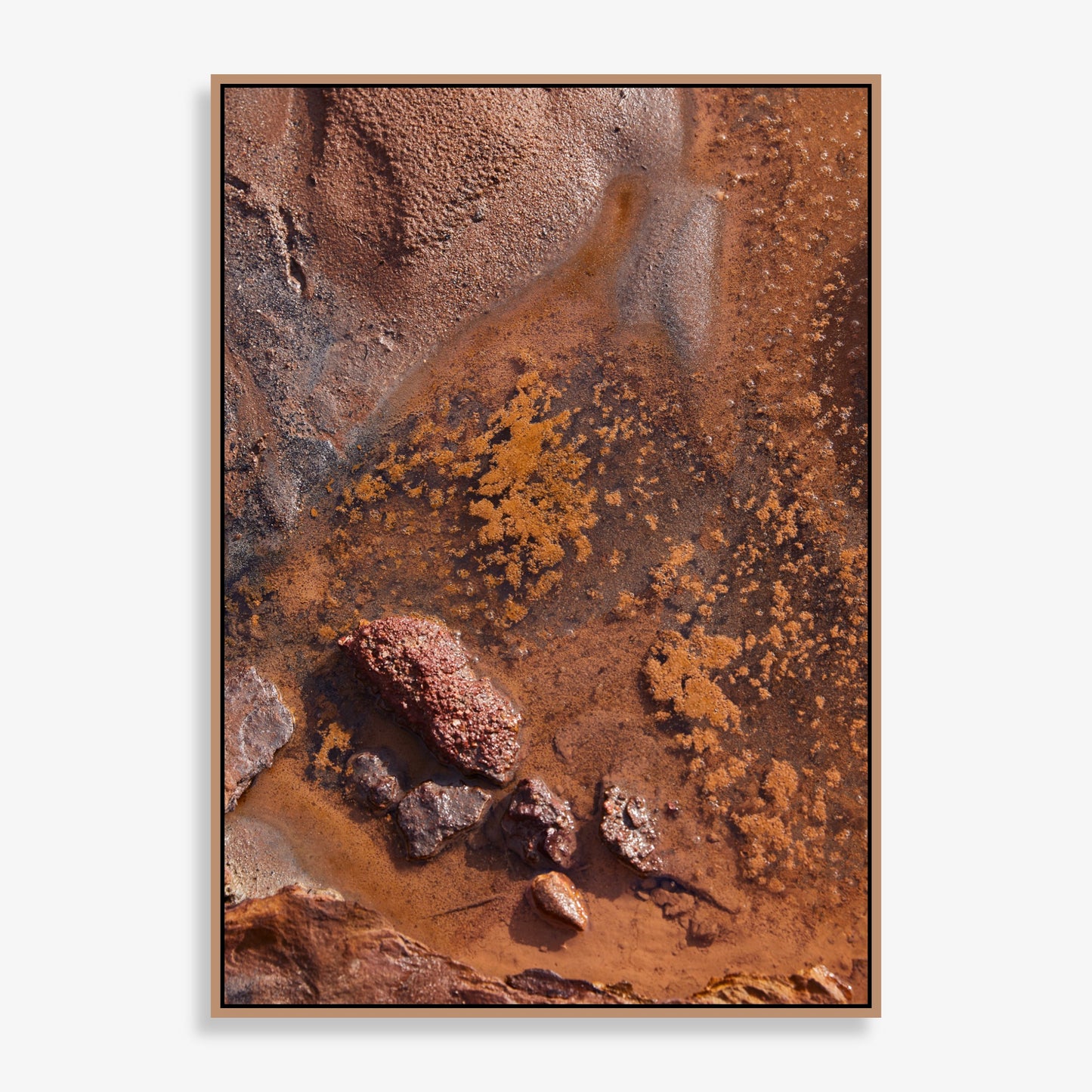 Sacred Earth - Limited Edition