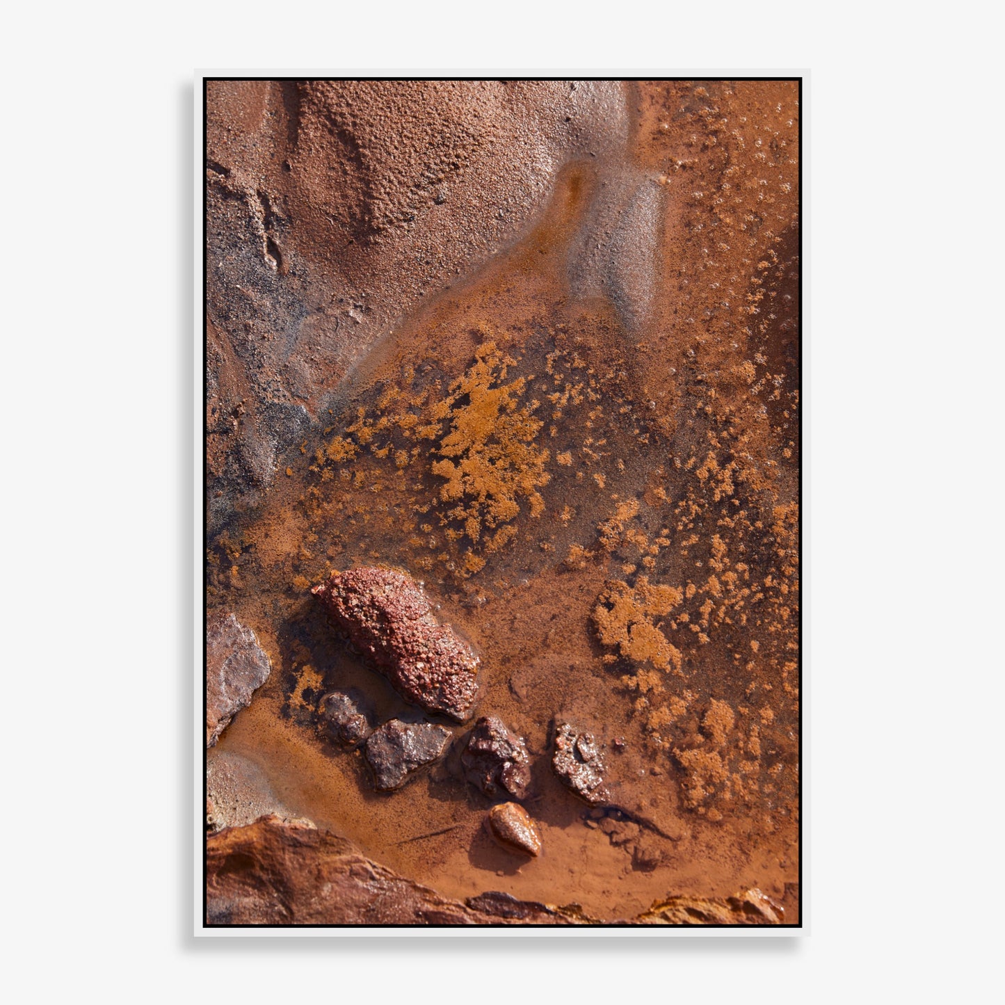 Sacred Earth - Limited Edition