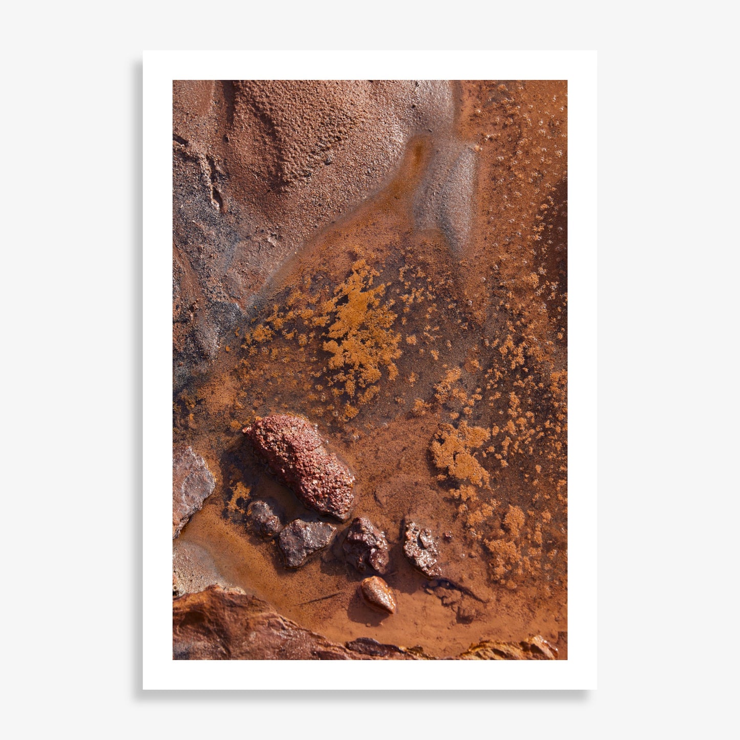 Sacred Earth - Limited Edition