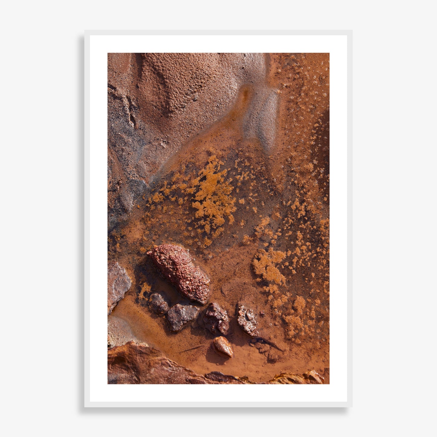 Sacred Earth - Limited Edition