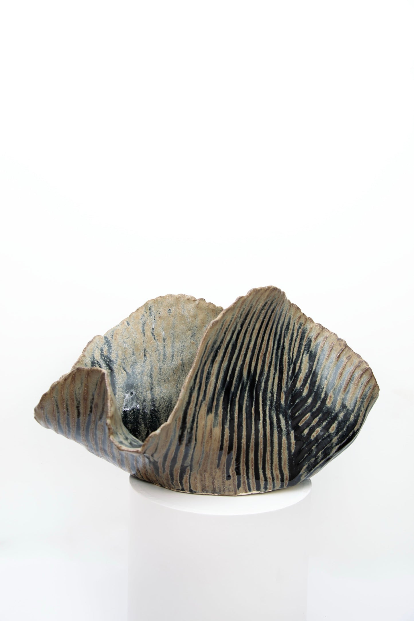 A cloud, a star, a meteor