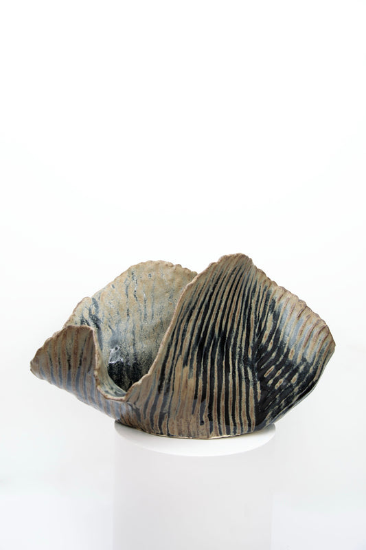 A cloud, a star, a meteor